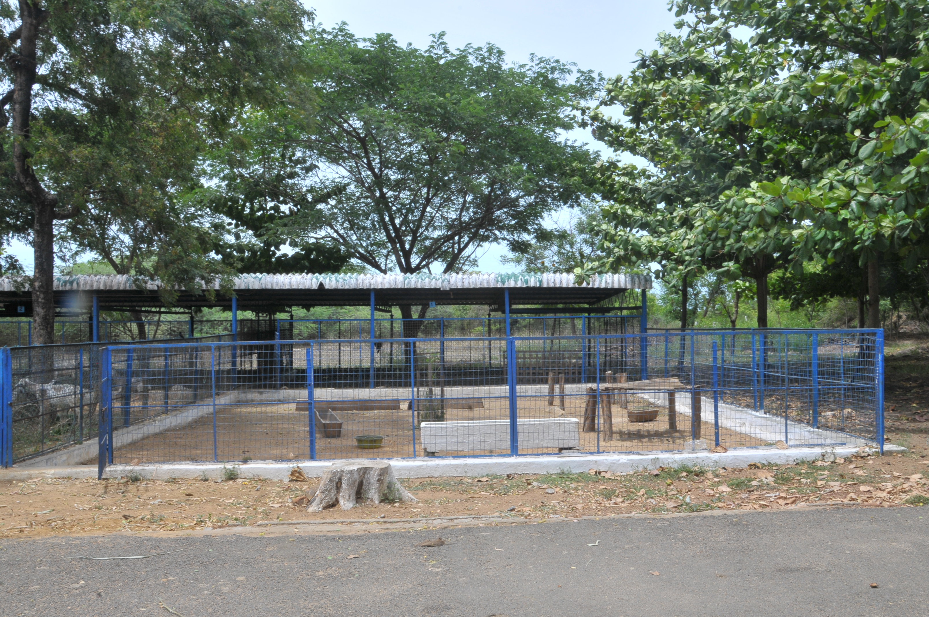 Manger and water trough